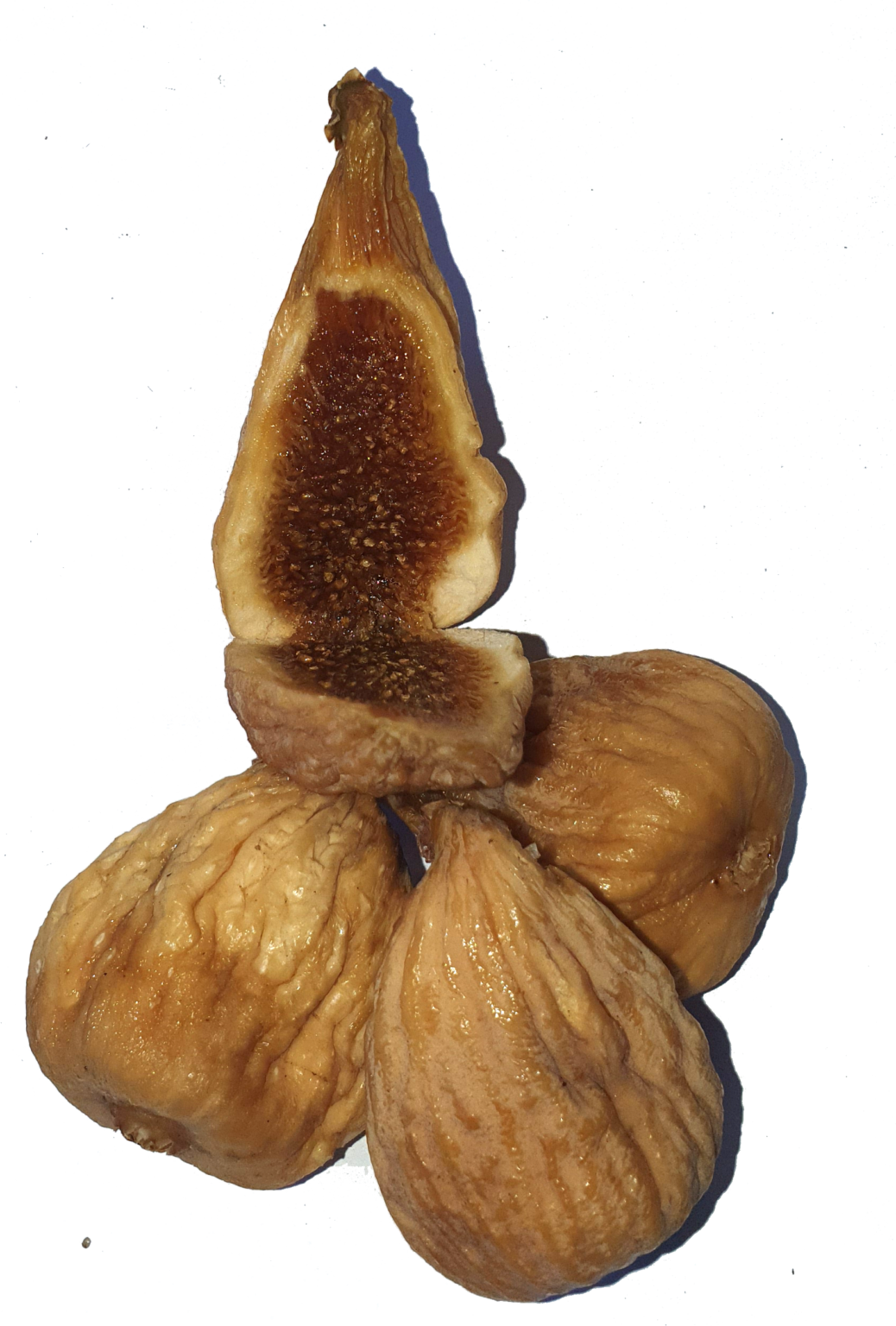 Finca La Soledad - Somos Artesanos del Higo, Higos Ecológicos y Artesanos